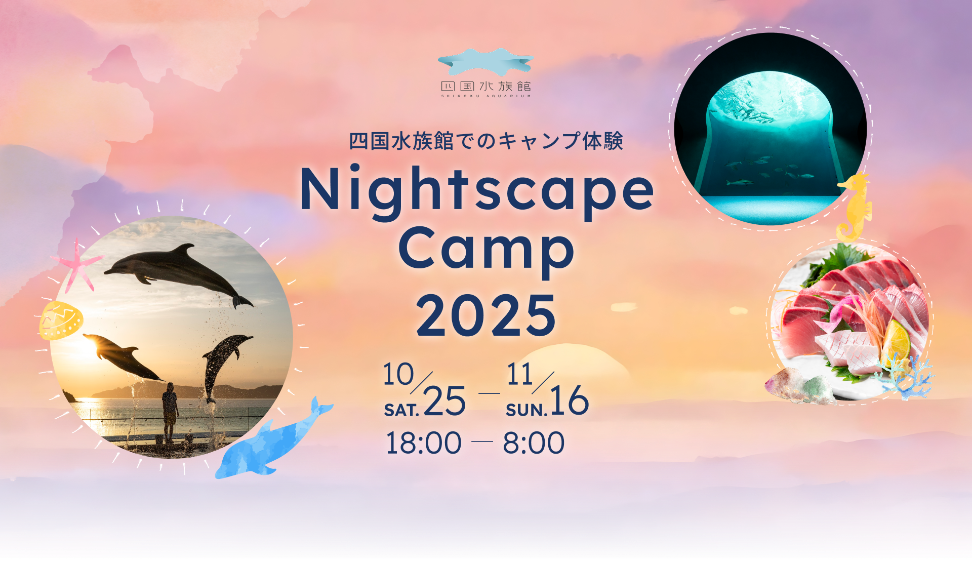 四国水族館 でのキャンプ体験 Nightscape Camp