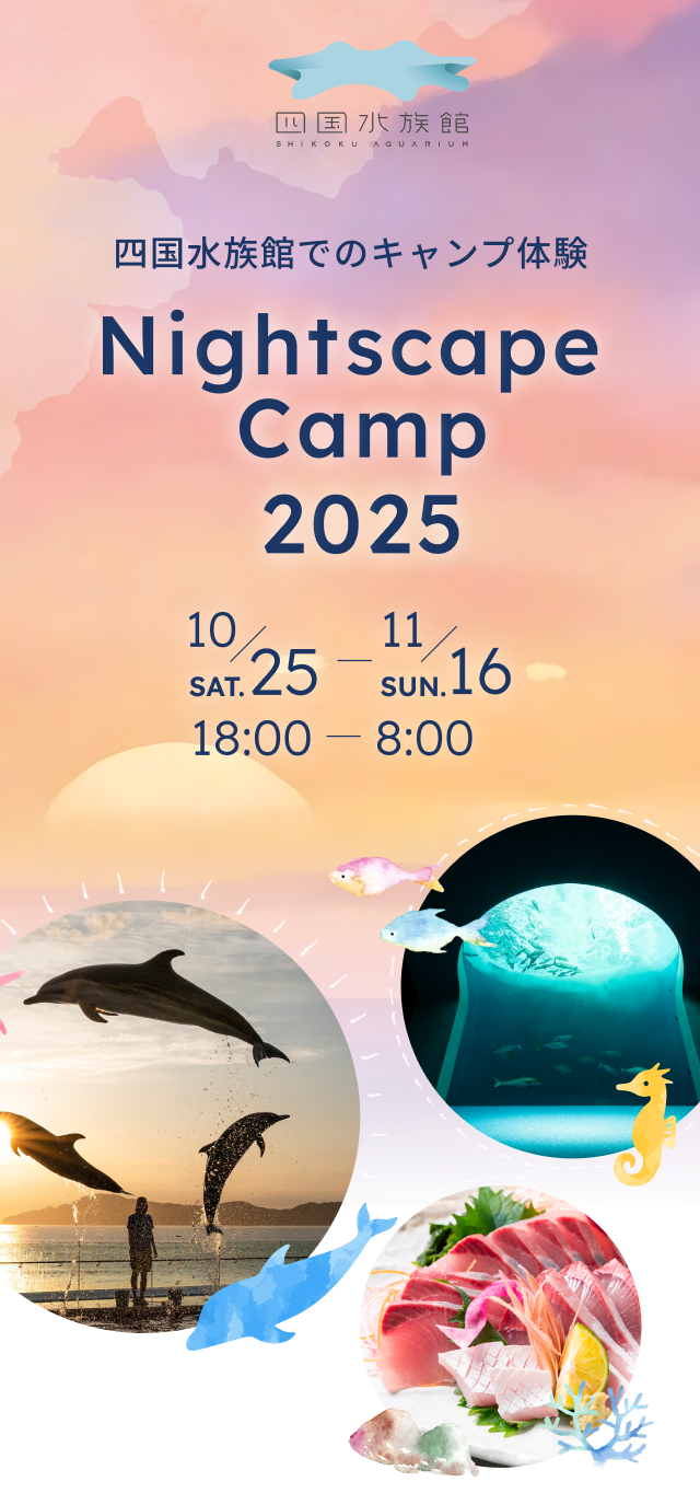 四国水族館 でのキャンプ体験 Nightscape Camp